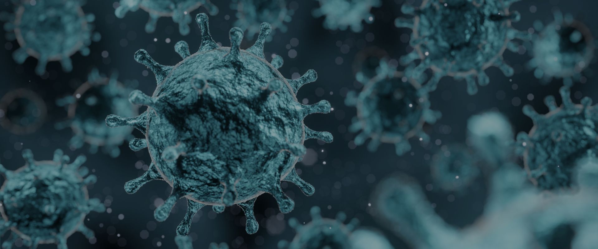 CORONA VIRUS